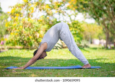 Focused Yogi Exercising On Park Grass. Young Indian Man Holding Yoga Downward Facing Dog Pose On Mat. Yoga In Park And Healthy Lifestyle Concept