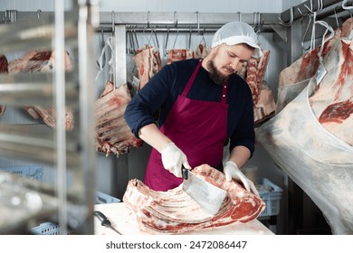 Focused young bearded butcher preparing meat for sale in store, using large cleaver to cut slab of beef ribs in cold storage room against background of pieces of meat hanging on hooks - Powered by Shutterstock