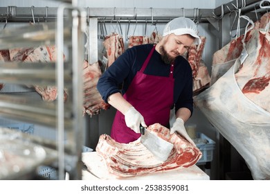 Focused young bearded butcher preparing meat for sale in store, using large cleaver to cut slab of beef ribs in cold storage room against background of pieces of meat hanging on hooks - Powered by Shutterstock