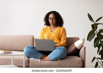 Focused Young Black Lady Sitting Cross Legged On Couch, Using Laptop For Online Work Or Education At Home. Millennial African American Female Studying Remotely, Having Business Meeting On Web