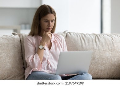 Focused Young Caucasian Freelance Business Woman Using Laptop Computer At Home, Sitting On Couch, Looking At Display, Touching Chin, Thinking, Working, Watching, Reading Content