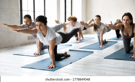 Focused young indian yoga instructor practicing bird dog position with serious motivated fit sporty diverse students. Active multiracial people doing parsva balasana, improving body balance indoors. - Powered by Shutterstock