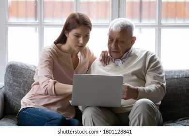 Focused Young Woman Helping Older Daddy With Computer Applications, Sitting Together On Comfortable Sofa In Living Room. Serious Different Generations Enjoying Web Surfing Information In Internet.