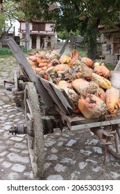 Fodder Beets On An Old Farmer's Wagon