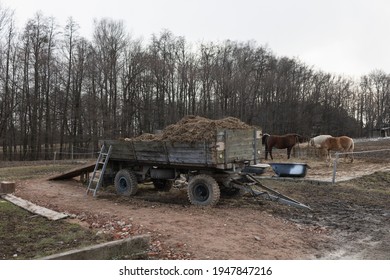 Fodder And Stover - Truck And Wagon With Feed For Horses - Authentic Agriculture And Farming On The Farm. Bare Trees In The Winter.