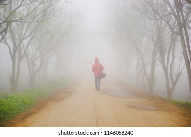 In the fog