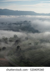 Fog