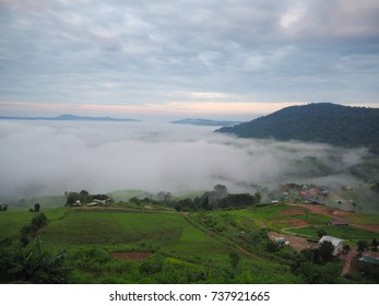 Fog