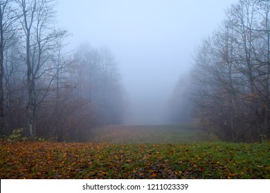 Fog In Autumn Weather On Mist Landscape After Rain