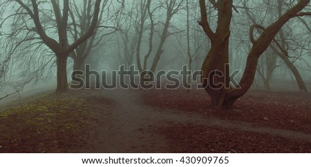 fog background panorama mystycal park alley autumn trees fall foliage shallow depth of field stylized filter