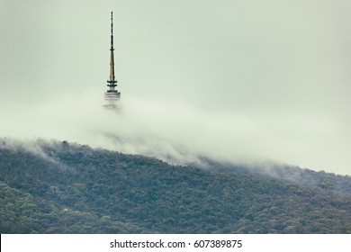 Fog below the tower