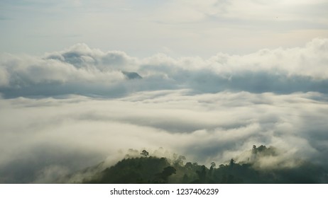 Fog and cloud mountain landscape.