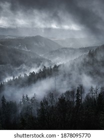 fog and clouds over forest and hills