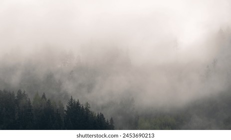 Fog and clouds over a rainy spring forest in the mountains of Diex, Carinthia, Austria