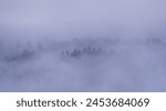 Fog and clouds over a rainy winter forest, Sankt Veit an der Glan
, Carinthia, Austria