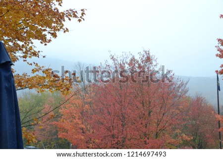 fog and colorful foliage makes awesome views in  New Hampshire's white mountains