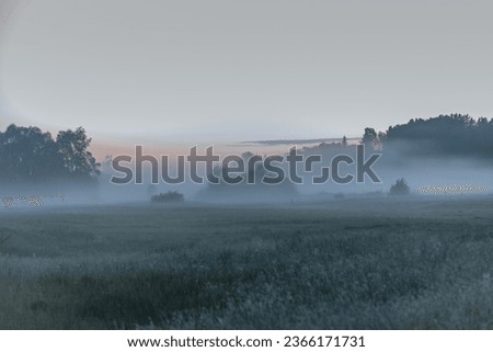 The fog is coming over the meadow. Haze of fog on the meadow. Soft selective focus