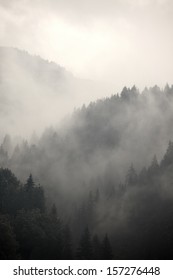 Fog Covering The Mountain Forests