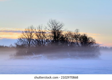 Fog covering trees and a field on a winter evening. Selective focus. High quality photo
