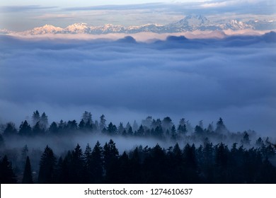 Fog Covers Seattle, Washington State with Olympic Mountains in Distance. Taken from Somerset, Bellevue, Washington State in the morning