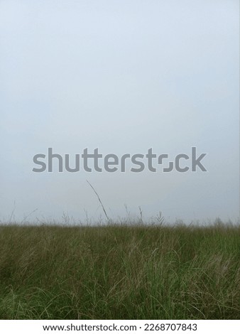 Similar – Image, Stock Photo Misty November Environment