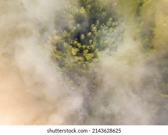 Fog envelops the mountain forest. The rays of the rising sun break through the fog. Aerial drone view.