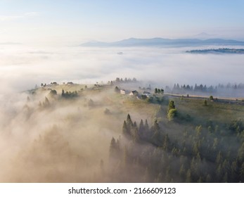 Fog envelops the mountain forest. The rays of the rising sun break through the fog. Aerial drone view.