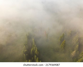 Fog envelops the mountain forest. The rays of the rising sun break through the fog. Aerial drone view.
