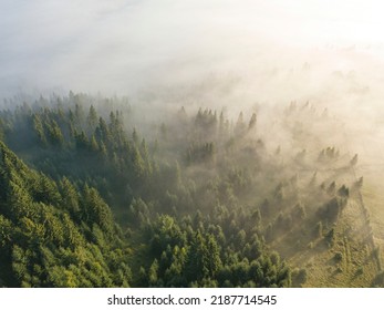 Fog envelops the mountain forest. The rays of the rising sun break through the fog. Aerial drone view. - Shutterstock ID 2187714545