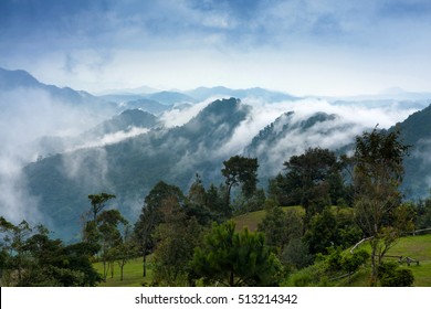 Fog Flow At Tropical Rain Forest And Mountain Landscape