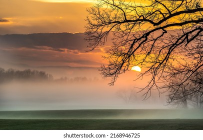Fog in forest field at sunset. Sunset fog in field landscape