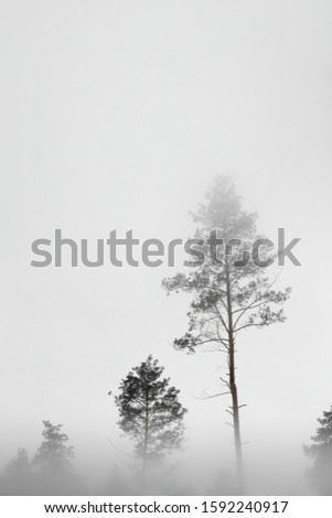 Similar – Image, Stock Photo atmospheric picture