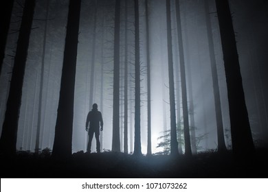 Scary Woods Images Stock Photos Vectors Shutterstock