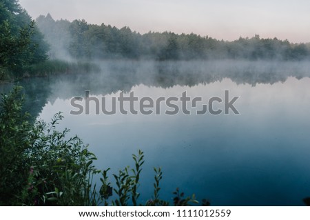 Fog, grass, trees against the backdrop of lakes and nature. Fishing background. Carp fishing. Misty morning. nature. Wild areas. the river.