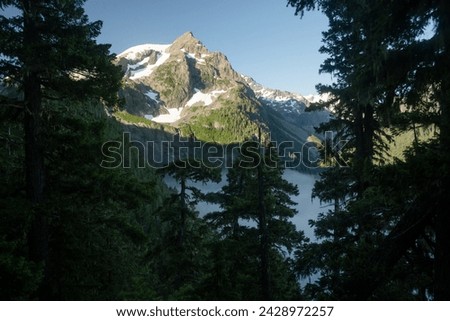 Fog Hangs In the Trees Below Mount Olympus in Olympic National Park