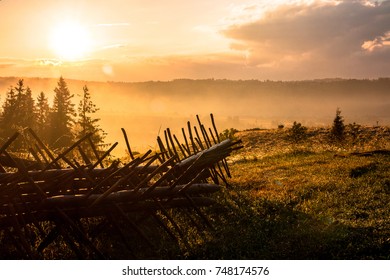 a fog hovering over a clearing against the setting sun
