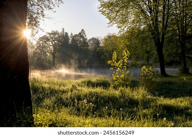 Fog illuminated by rays of rising sun over ponds - Powered by Shutterstock