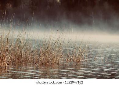 Fog Lifting Off The Water In The Early Morning