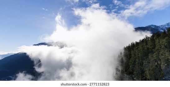 Fog and low clouds envelop a conifer forest on a mountain slope beside snow-capped peaks in British Columbia, Canada.