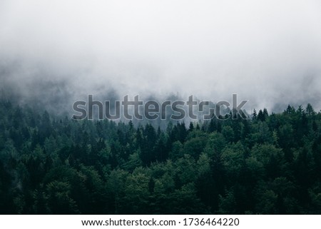 Similar – Image, Stock Photo Clouds over forest Nature