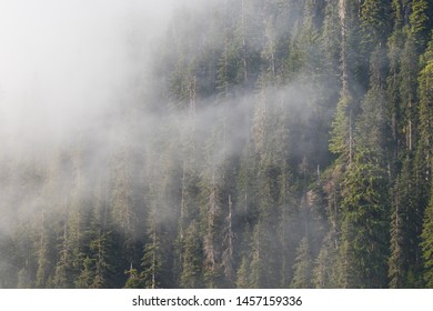 fog and mist on a hike to snow lake in washington usa