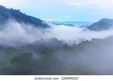 Fog In The Morning Rain Forest On The Mountains In Southeast Asia.