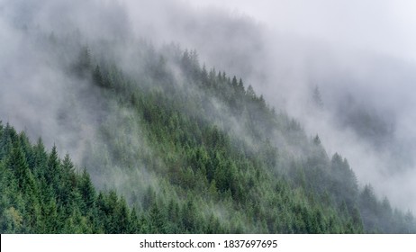 Fog In Mount Hood National Forest During Autumn