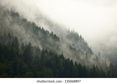 Fog in the mountain forests - Powered by Shutterstock