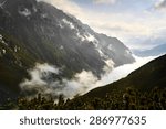 Fog in the Mountains