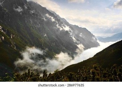 Fog in the Mountains