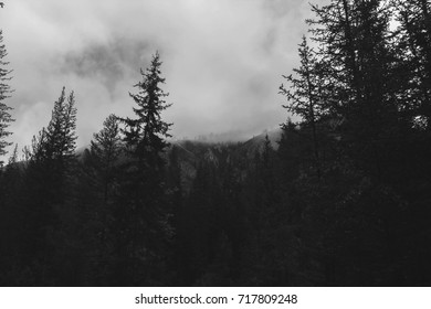
fog in the mountains
