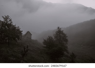 fog in the mountains before dawn