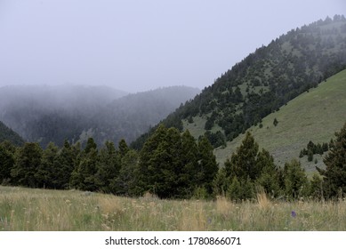 Fog in the mountains of the Helena National Forest, Montana.