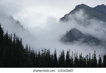 Misty Mountains High Res Stock Images Shutterstock